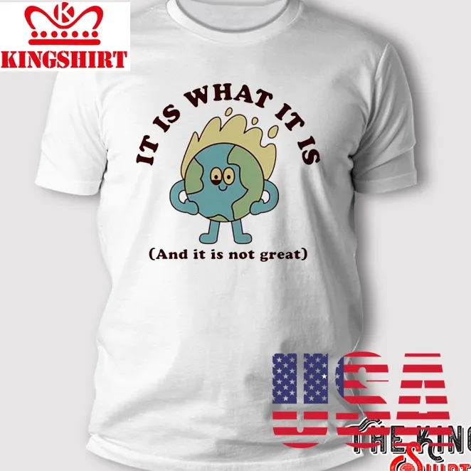 It Is What It Is And It Is Not Great T Shirt