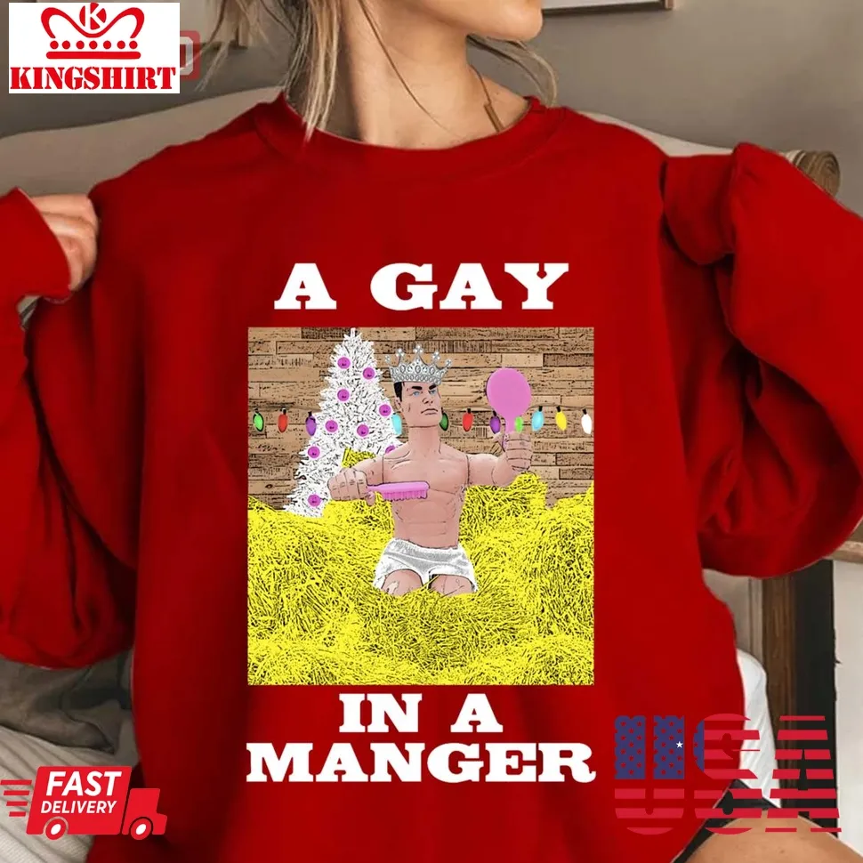Top A Gay In A Manger Funny Hilarious Queer Gay Christmas Lgbtq Unisex Sweatshirt Plus Size