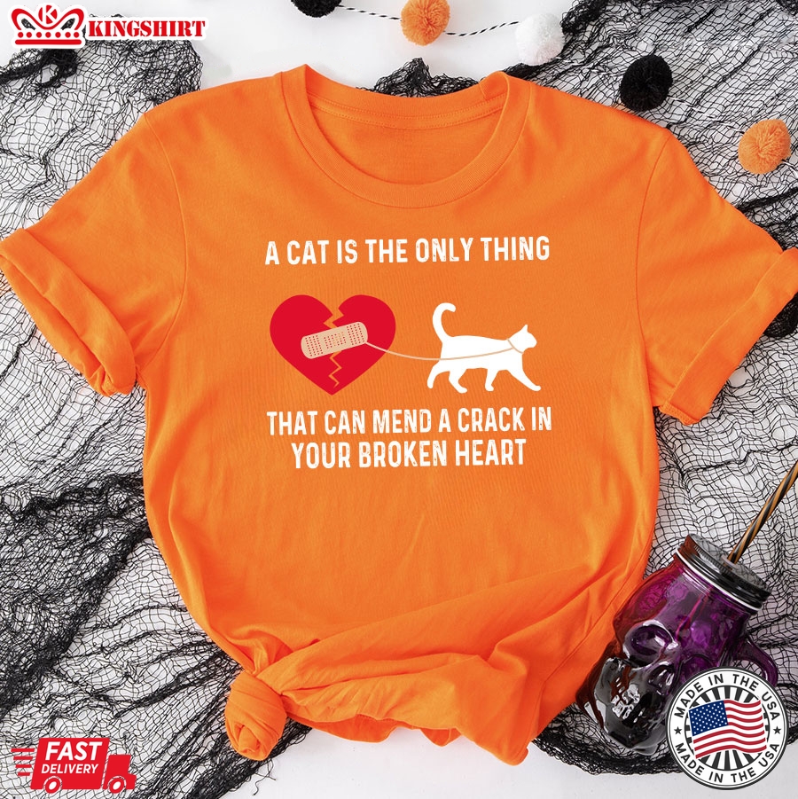 A Cat Is The Only Thing That Can Mend A Crack In Your Broken Heart Cat Lover T-Shirt