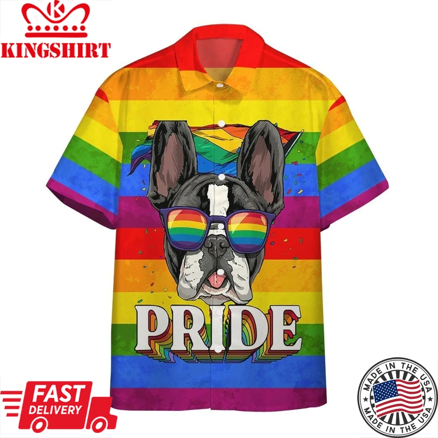 Ally Pride 3D Shirt Awesome Background Design Trendy Hawaiian Shirt, Hawaiian Pride, Full 3D Printed Shirt For Summer