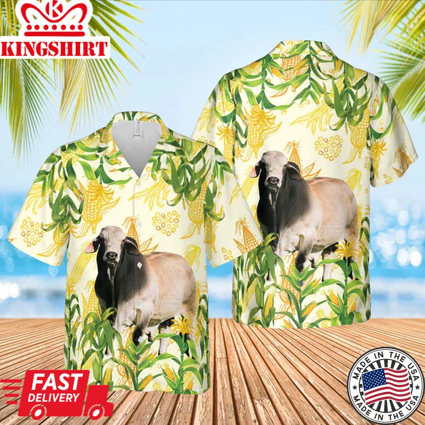 Corn Farm Brahman Trendy Hawaiian Shirt, Cow Trendy Hawaiian Shirt, Summer Gifts For Men And Women